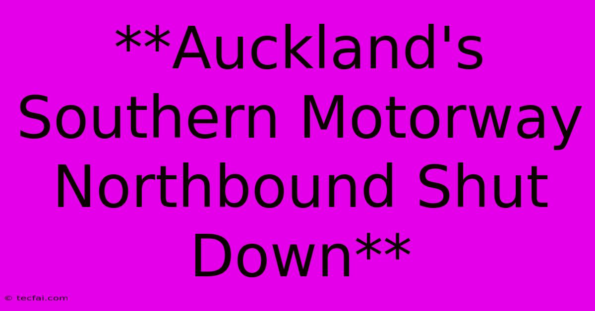 **Auckland's Southern Motorway Northbound Shut Down**