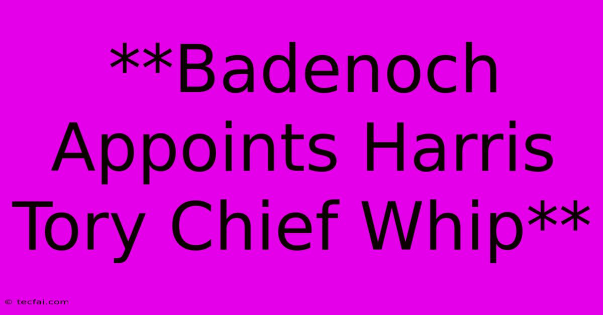 **Badenoch Appoints Harris Tory Chief Whip** 