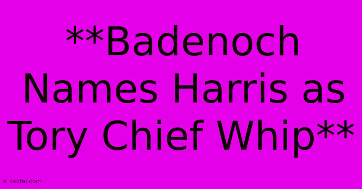 **Badenoch Names Harris As Tory Chief Whip**