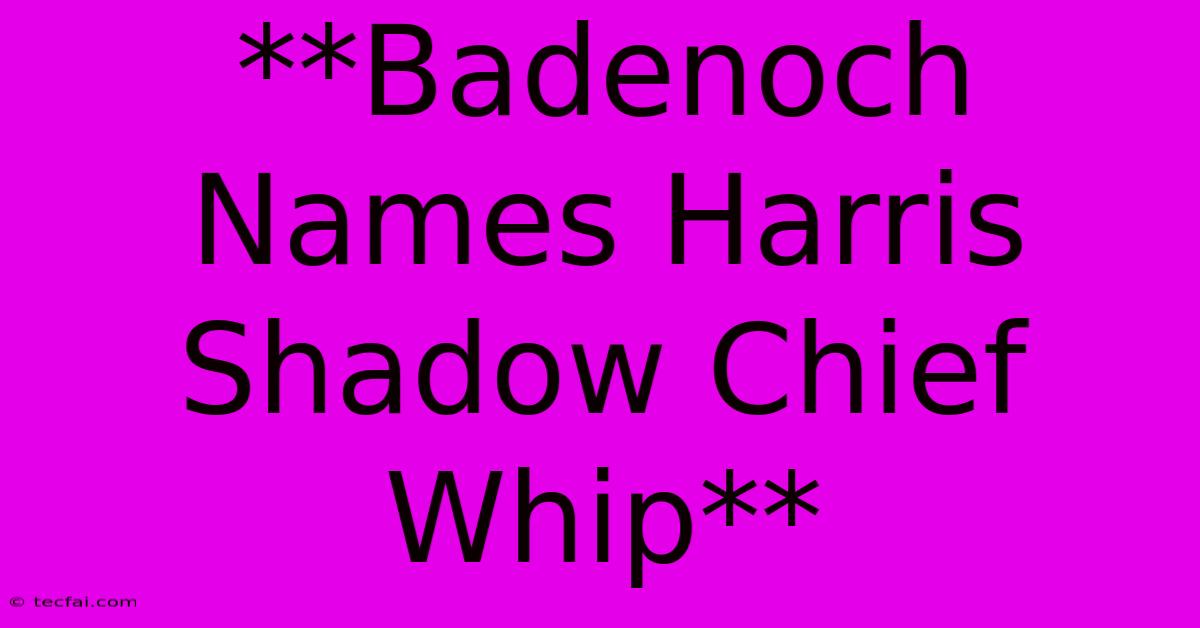 **Badenoch Names Harris Shadow Chief Whip**