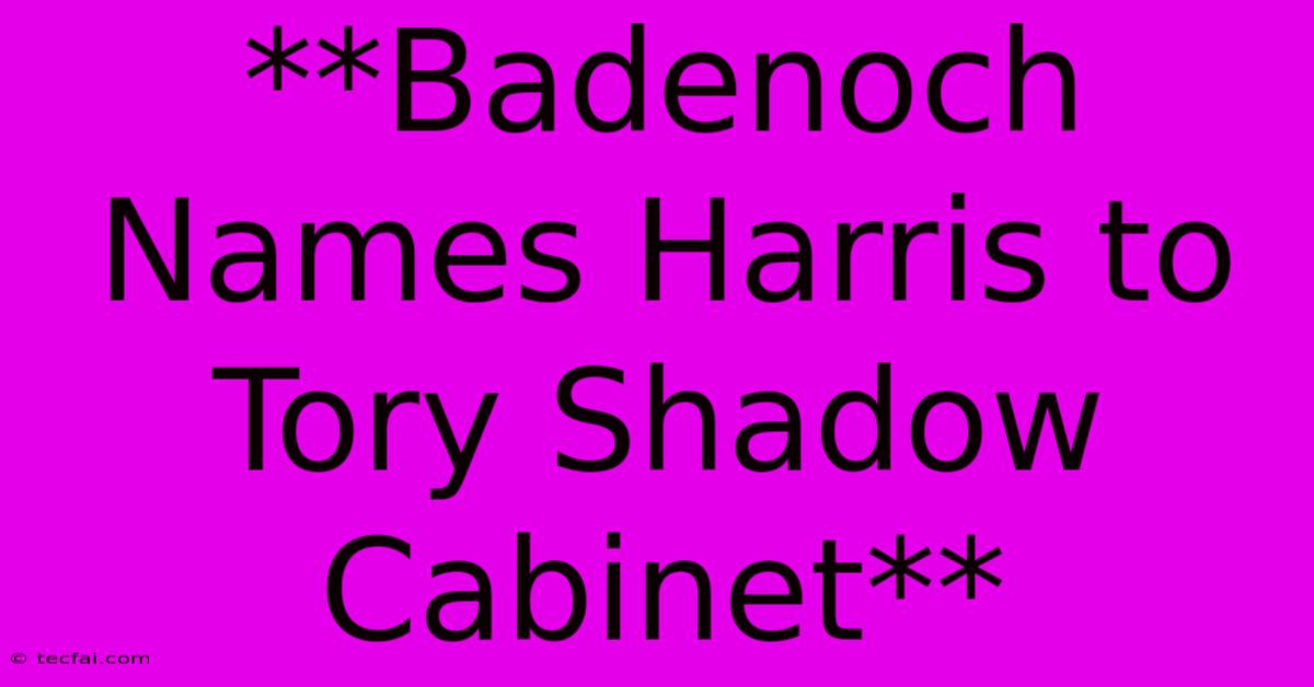 **Badenoch Names Harris To Tory Shadow Cabinet**