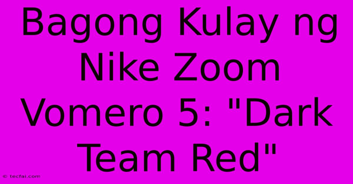 Bagong Kulay Ng Nike Zoom Vomero 5: 