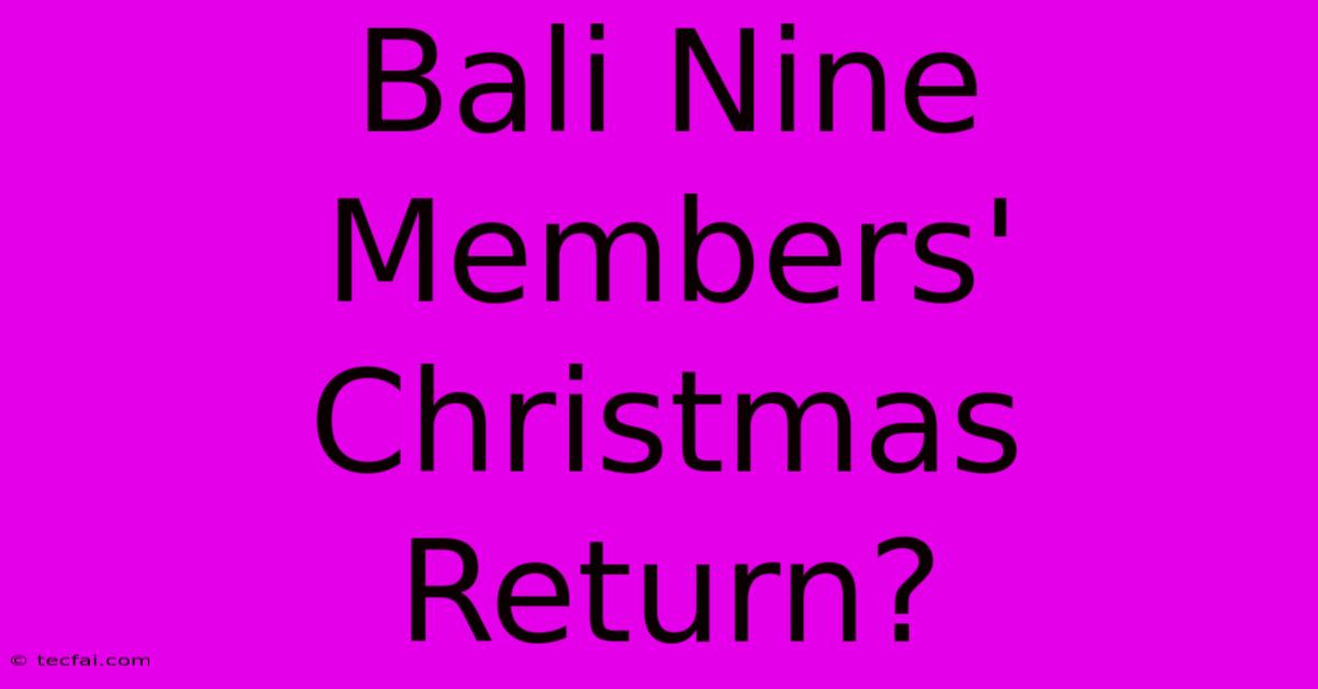 Bali Nine Members' Christmas Return?