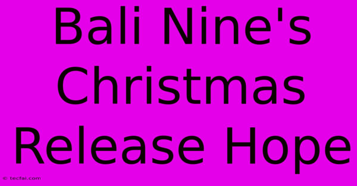 Bali Nine's Christmas Release Hope