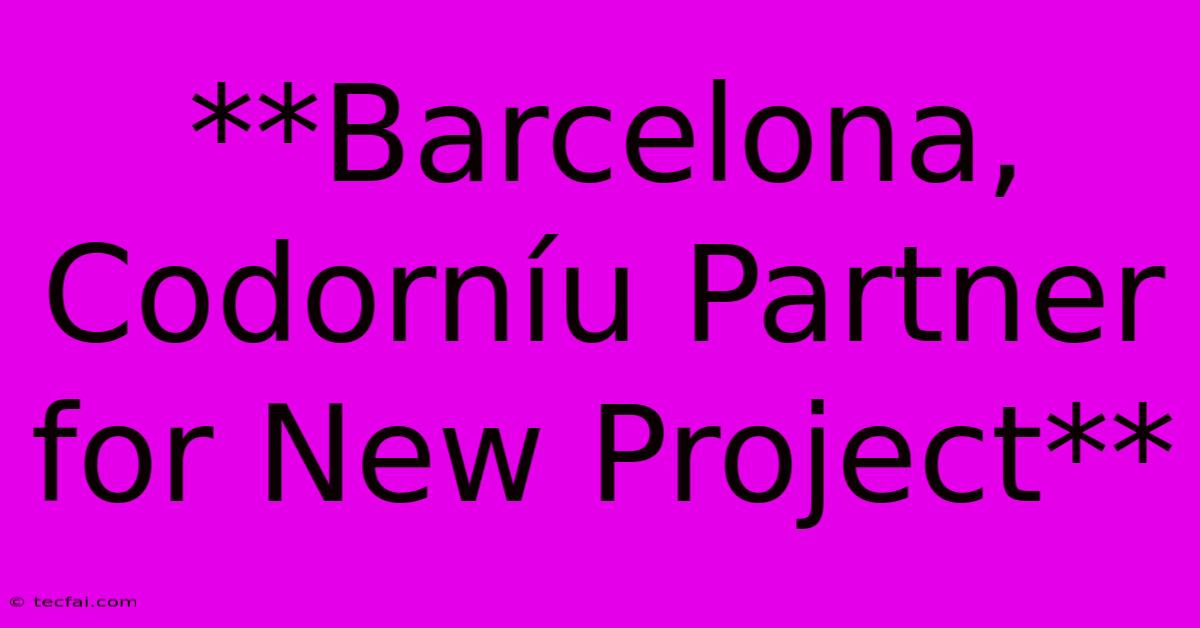 **Barcelona, Codorníu Partner For New Project**