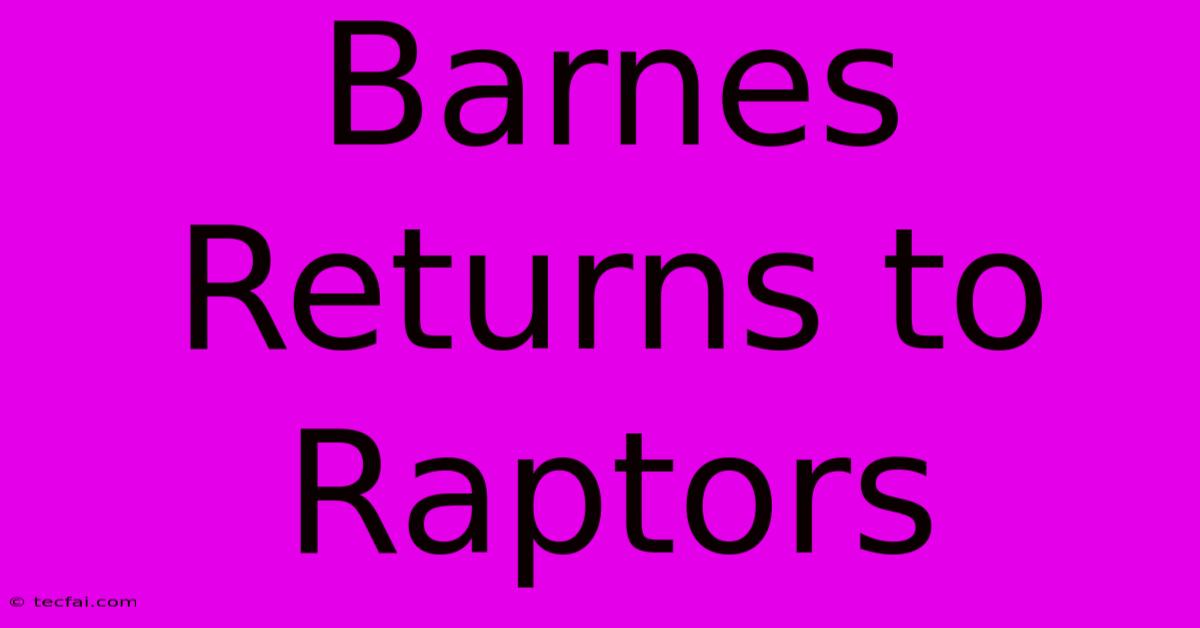 Barnes Returns To Raptors