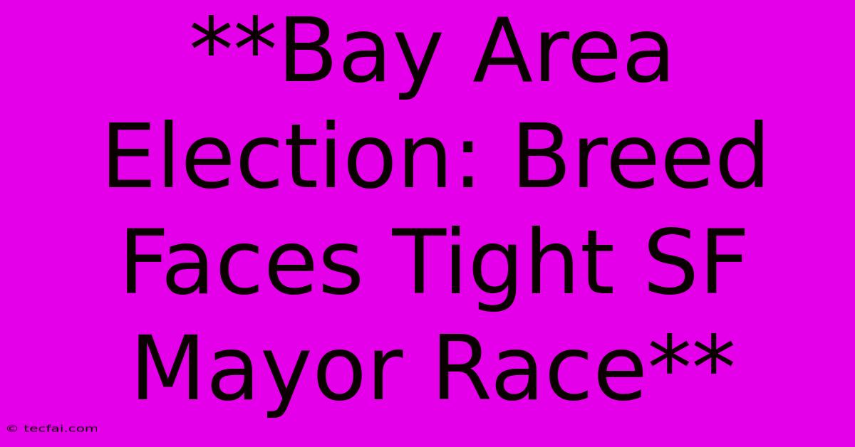 **Bay Area Election: Breed Faces Tight SF Mayor Race** 