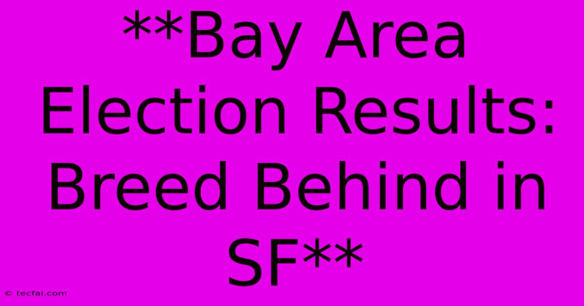 **Bay Area Election Results: Breed Behind In SF** 