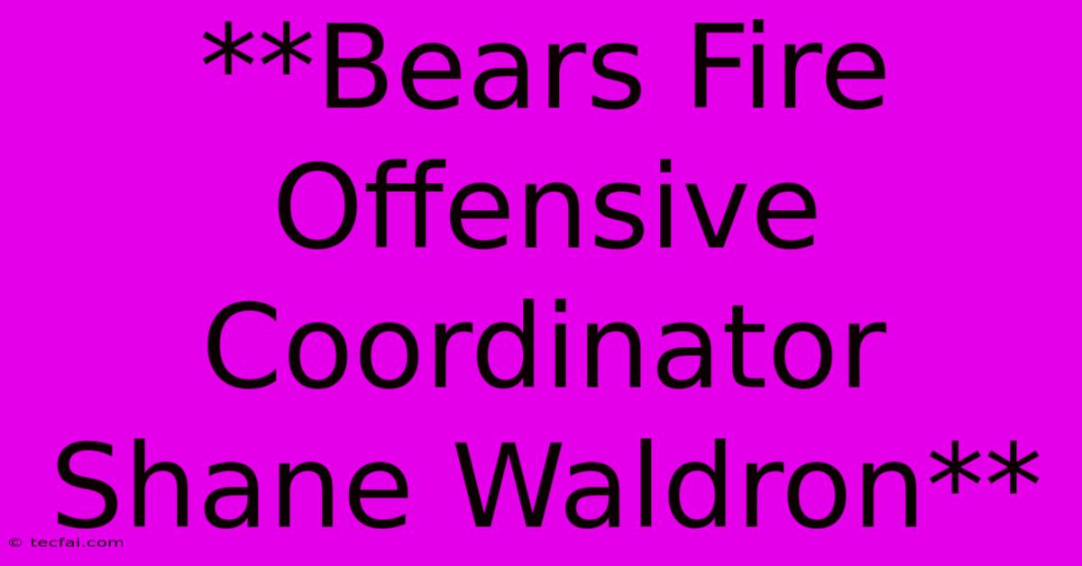 **Bears Fire Offensive Coordinator Shane Waldron**