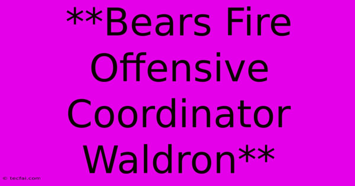 **Bears Fire Offensive Coordinator Waldron**