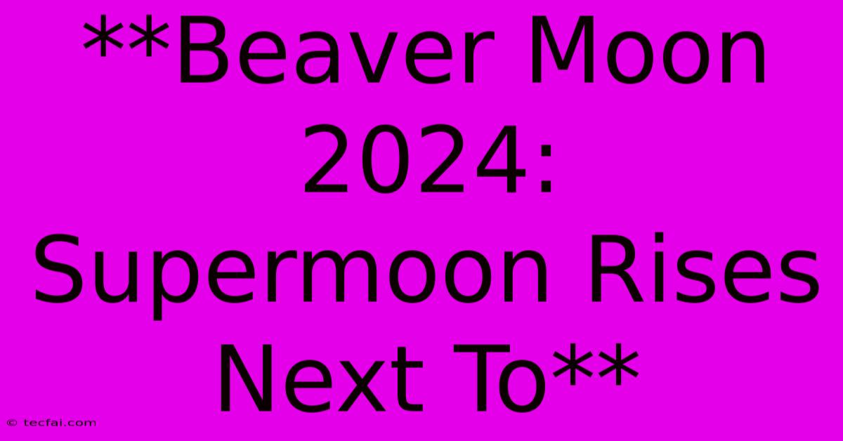 **Beaver Moon 2024: Supermoon Rises Next To**