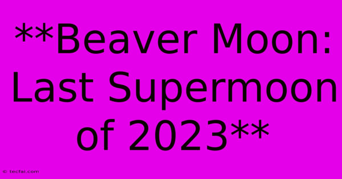 **Beaver Moon: Last Supermoon Of 2023**