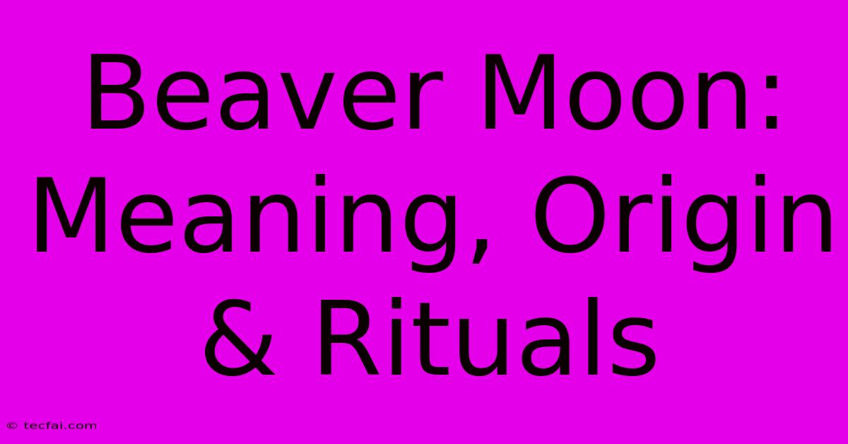 Beaver Moon: Meaning, Origin & Rituals