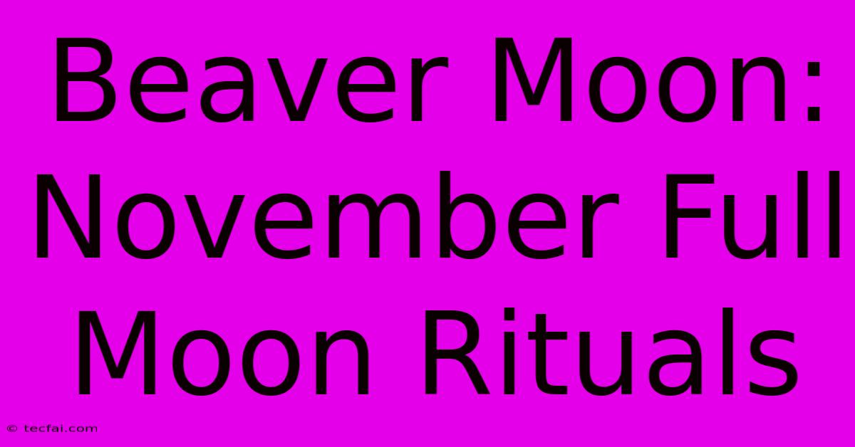 Beaver Moon: November Full Moon Rituals 