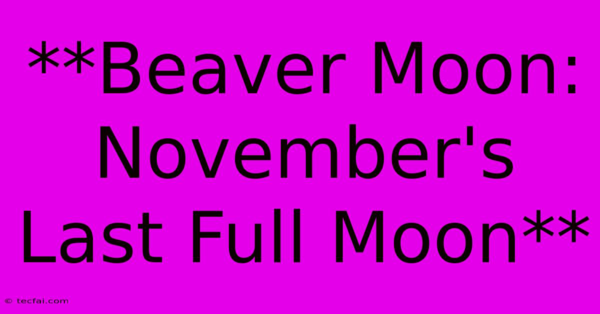 **Beaver Moon: November's Last Full Moon**