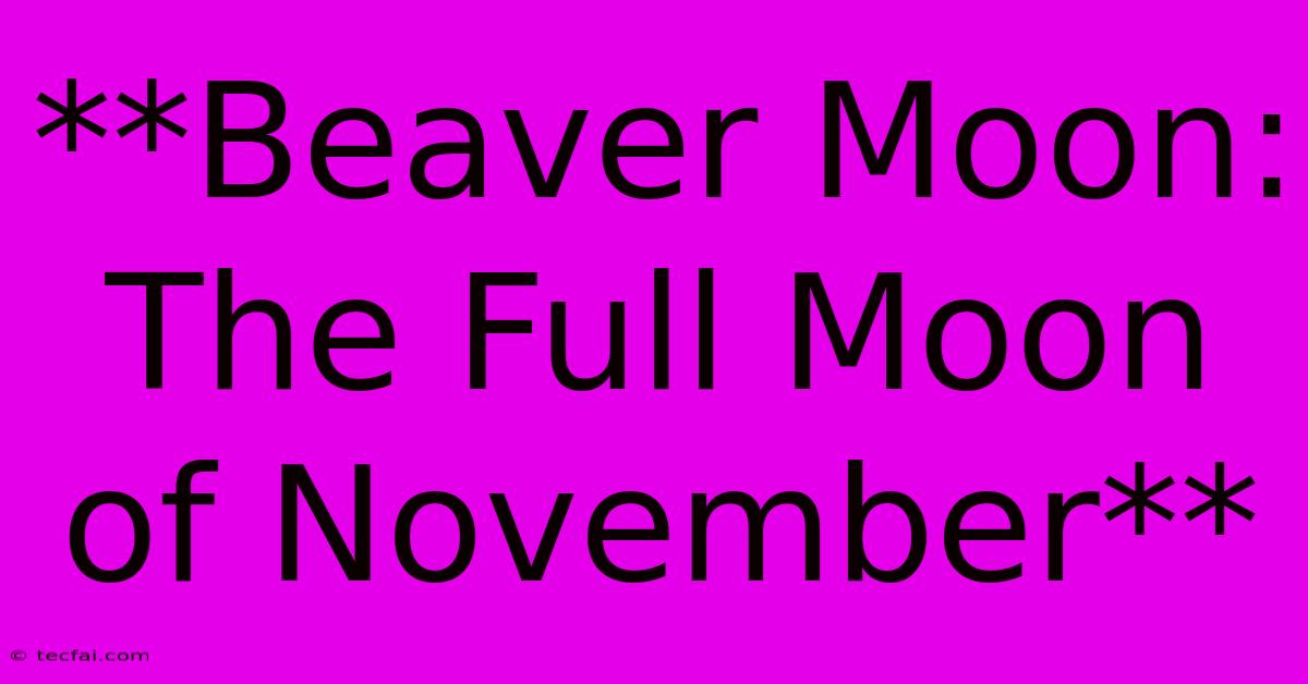 **Beaver Moon: The Full Moon Of November** 