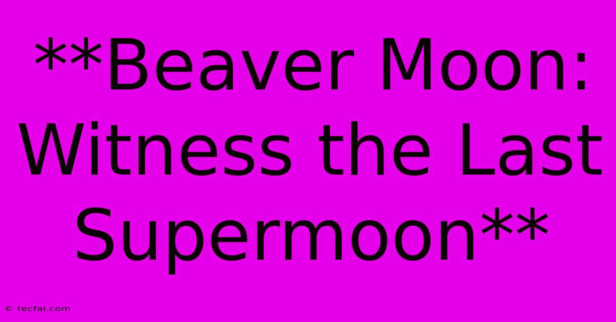 **Beaver Moon: Witness The Last Supermoon** 