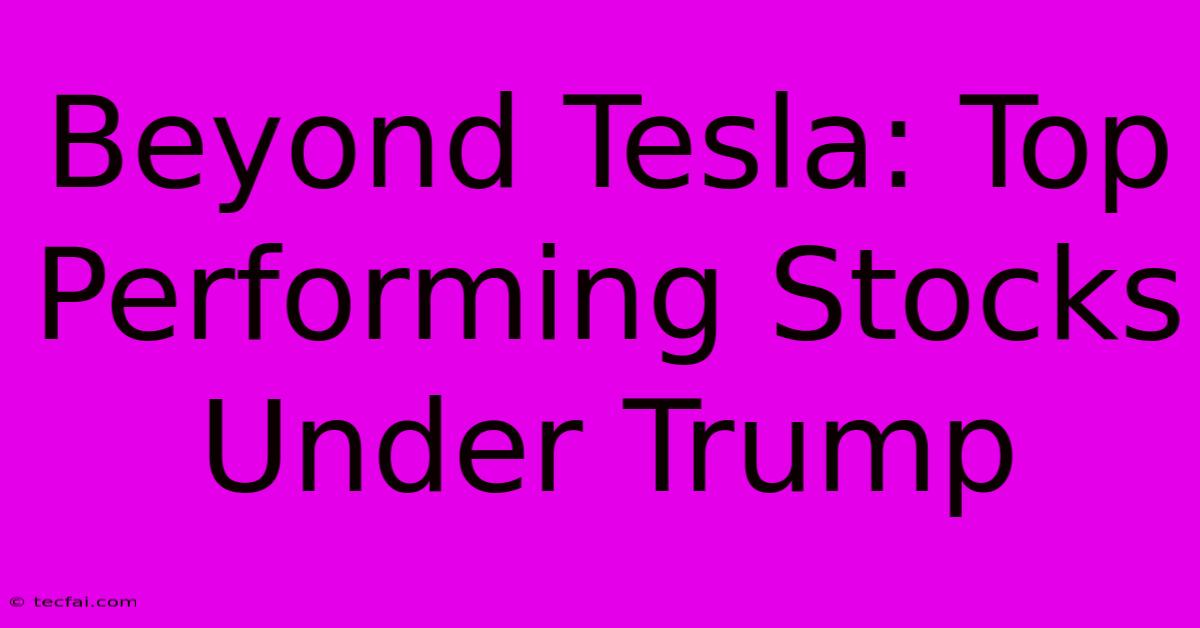 Beyond Tesla: Top Performing Stocks Under Trump