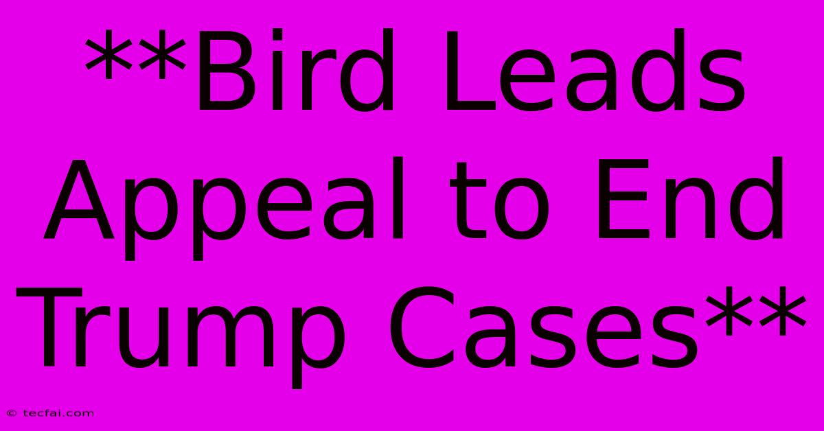 **Bird Leads Appeal To End Trump Cases**