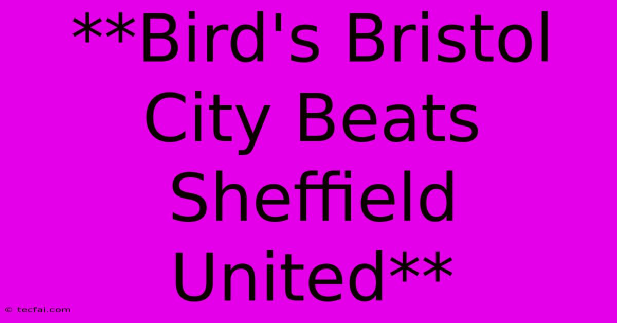 **Bird's Bristol City Beats Sheffield United**