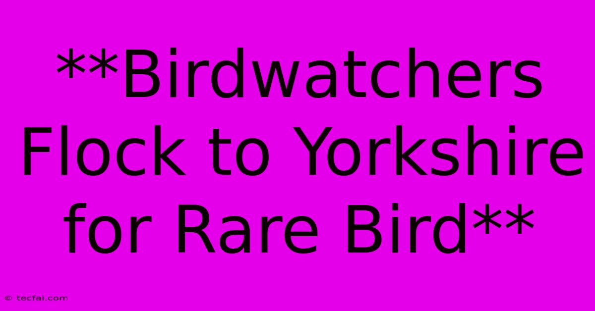 **Birdwatchers Flock To Yorkshire For Rare Bird**