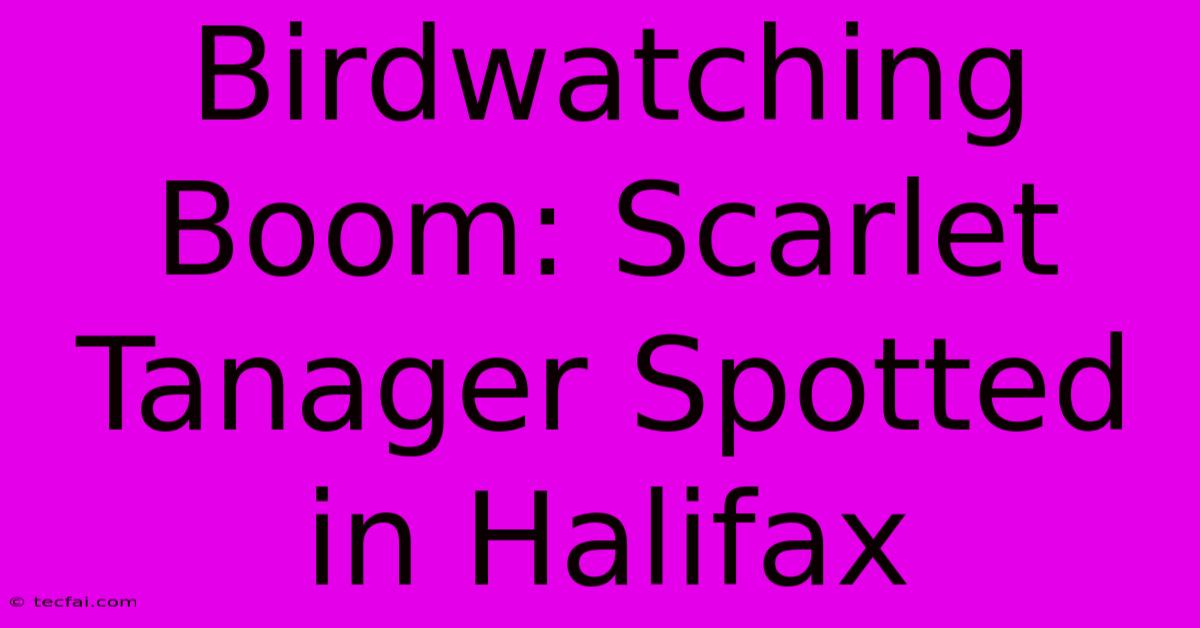 Birdwatching Boom: Scarlet Tanager Spotted In Halifax