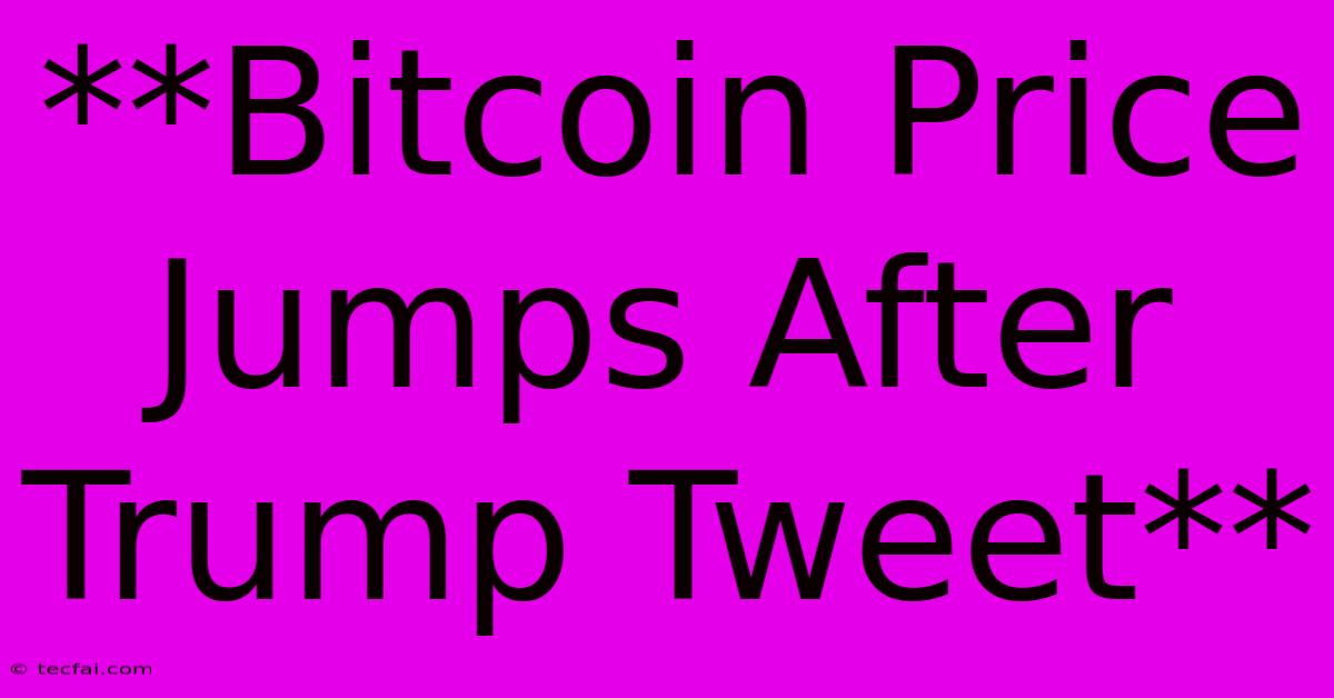 **Bitcoin Price Jumps After Trump Tweet**