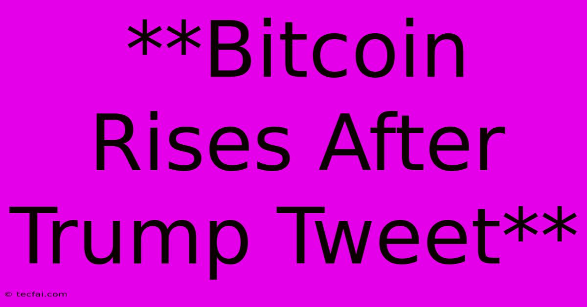 **Bitcoin Rises After Trump Tweet**