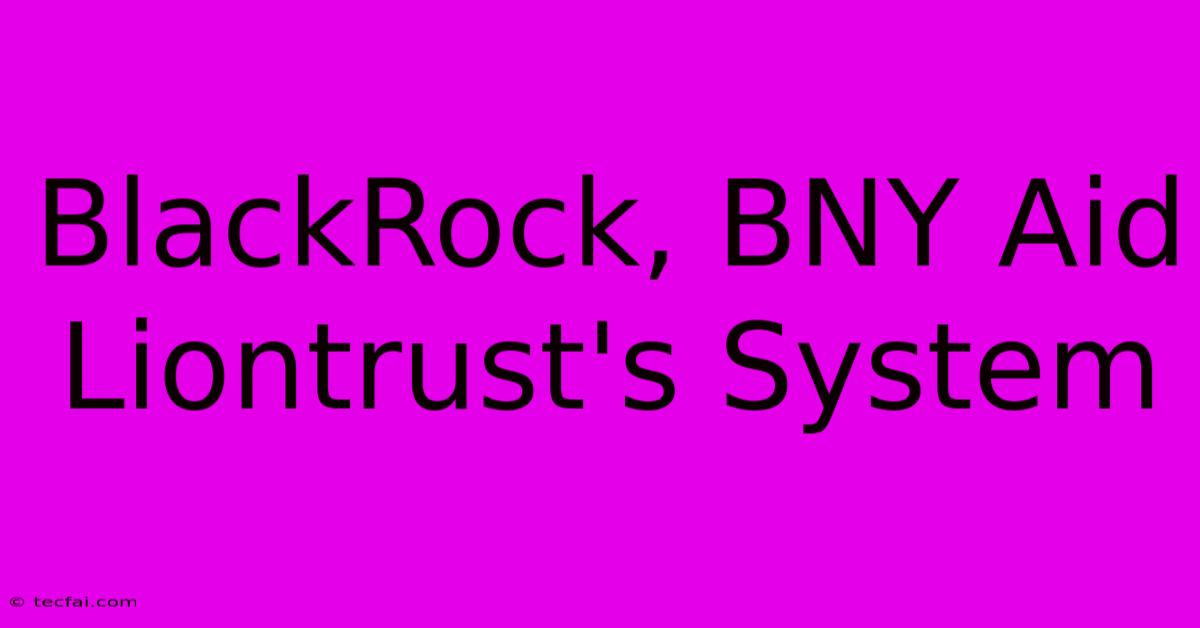 BlackRock, BNY Aid Liontrust's System