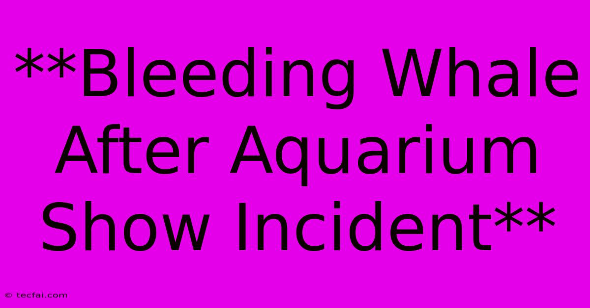 **Bleeding Whale After Aquarium Show Incident**