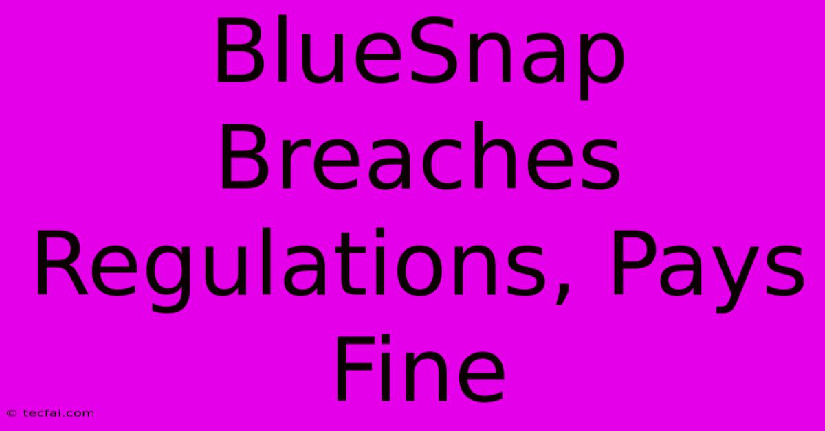 BlueSnap Breaches Regulations, Pays Fine