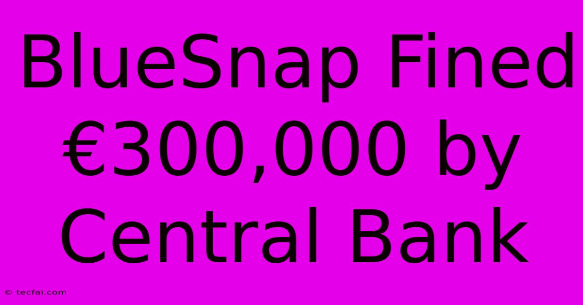 BlueSnap Fined €300,000 By Central Bank