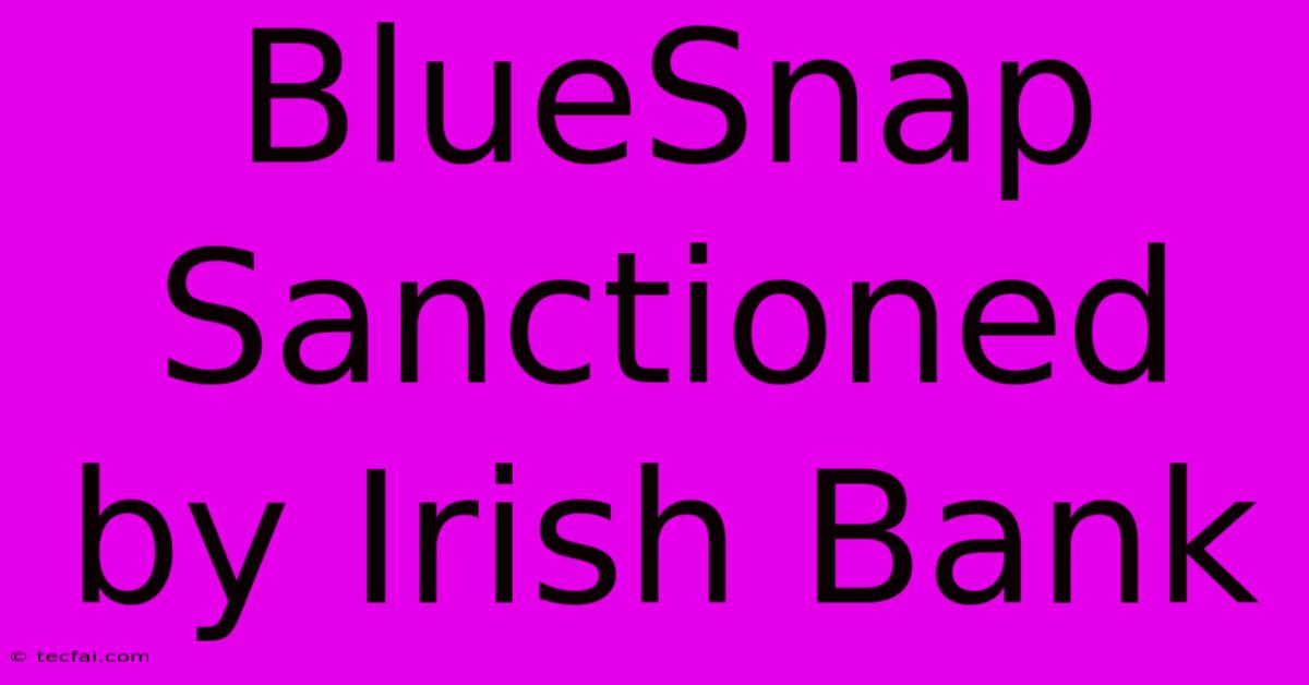 BlueSnap Sanctioned By Irish Bank