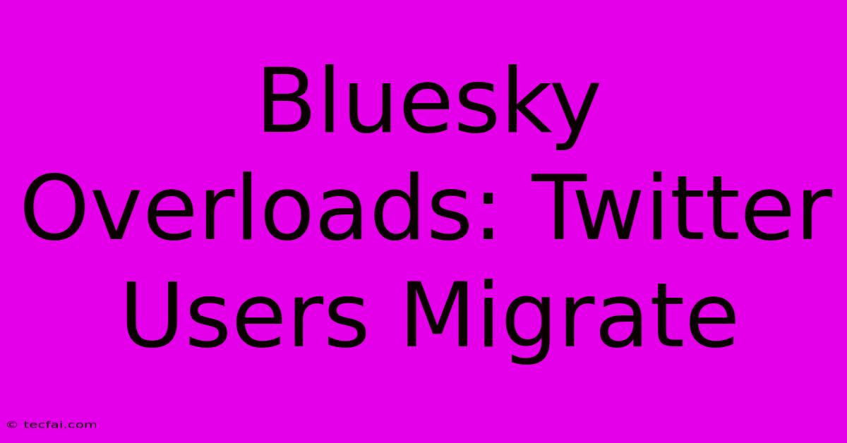 Bluesky Overloads: Twitter Users Migrate 