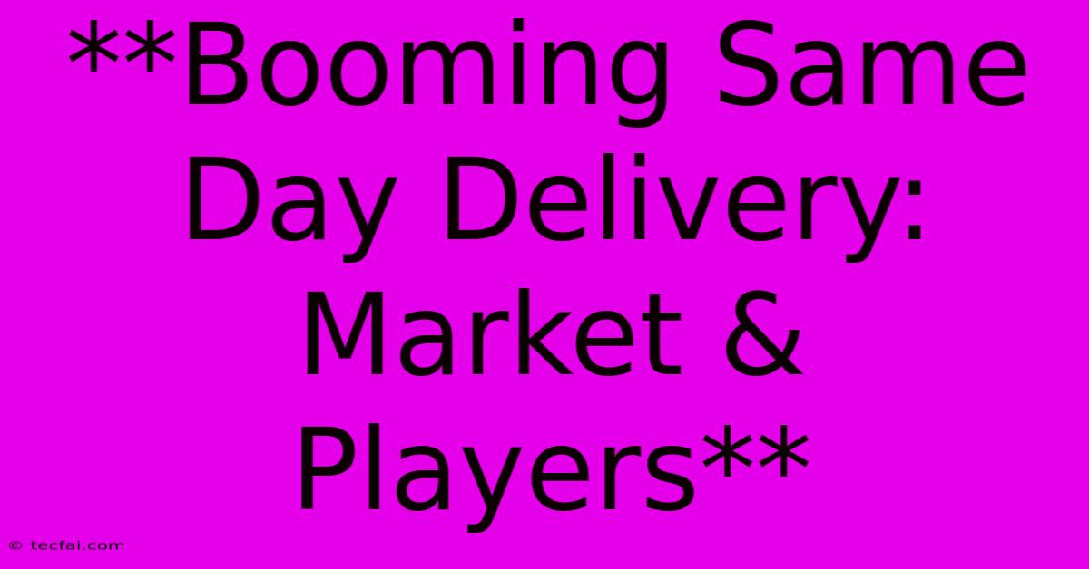 **Booming Same Day Delivery: Market & Players** 