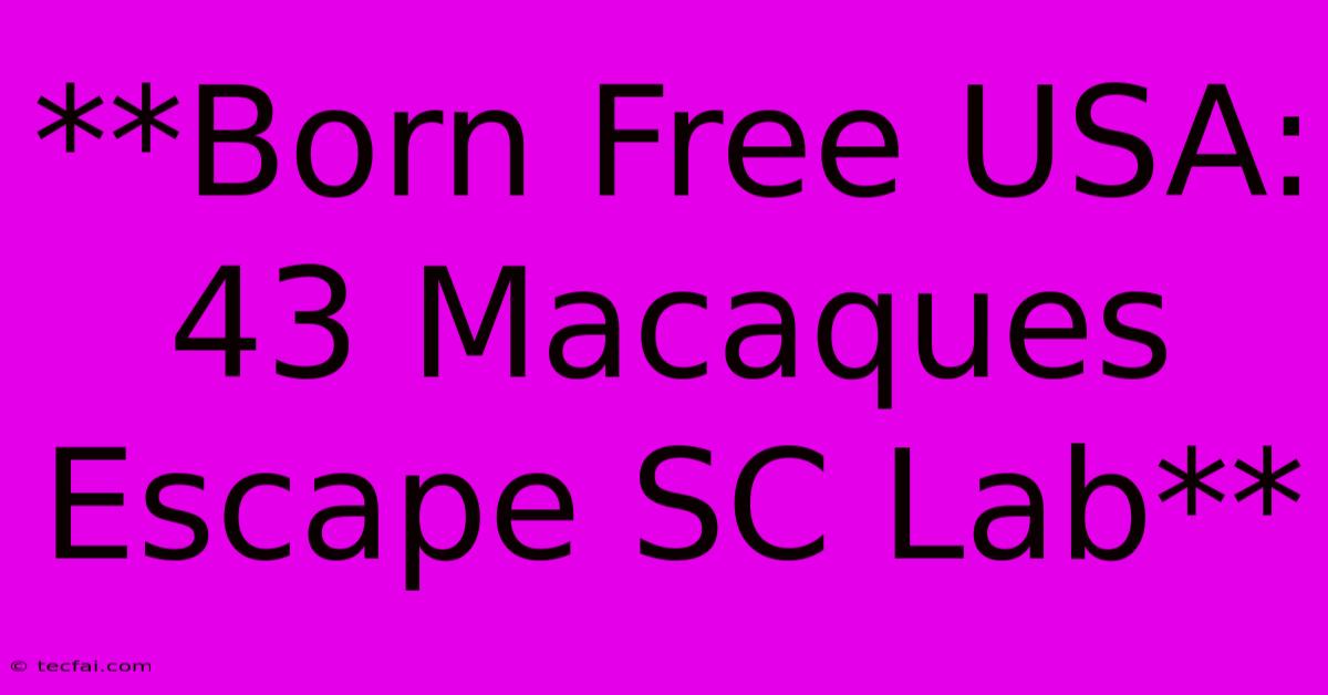 **Born Free USA: 43 Macaques Escape SC Lab**