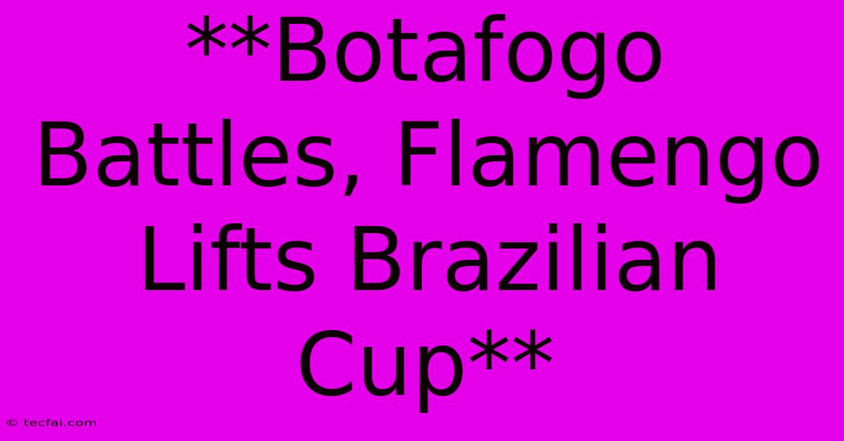 **Botafogo Battles, Flamengo Lifts Brazilian Cup** 