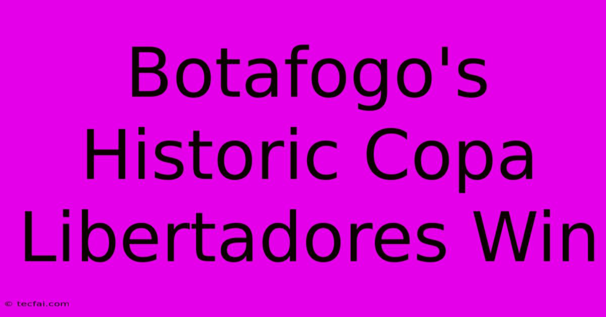 Botafogo's Historic Copa Libertadores Win