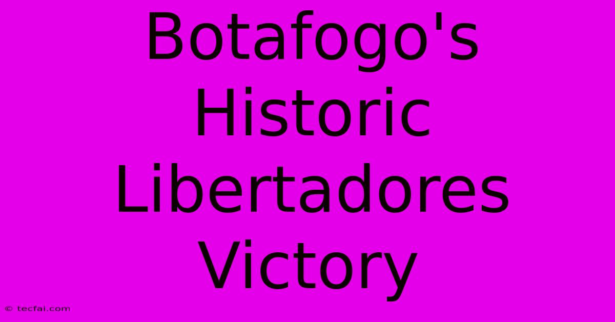 Botafogo's Historic Libertadores Victory