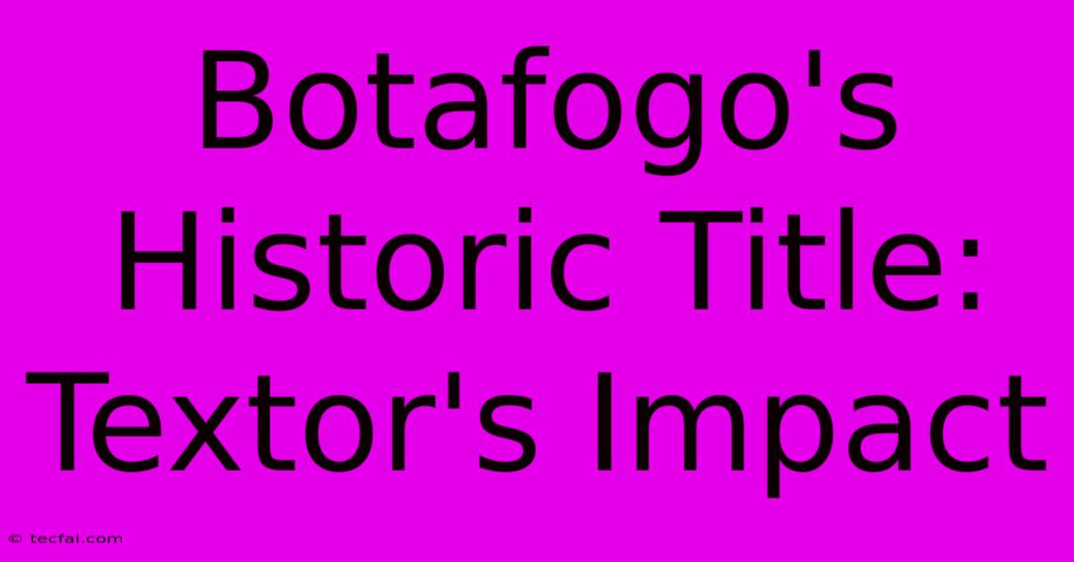 Botafogo's Historic Title: Textor's Impact