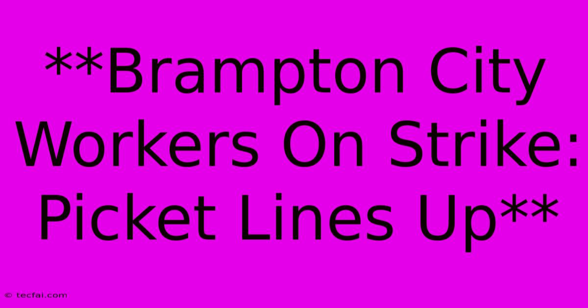 **Brampton City Workers On Strike: Picket Lines Up**