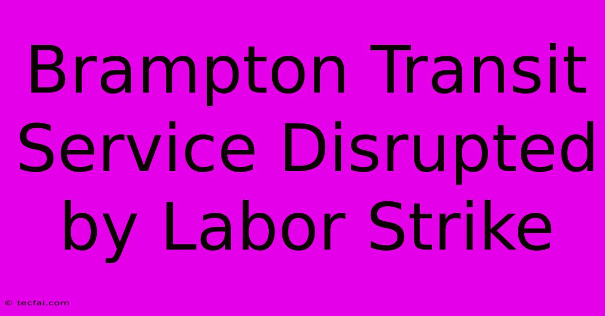 Brampton Transit Service Disrupted By Labor Strike 