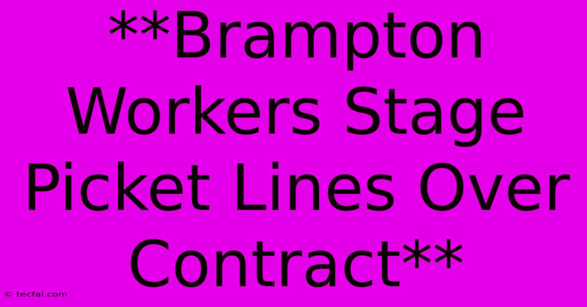 **Brampton Workers Stage Picket Lines Over Contract**