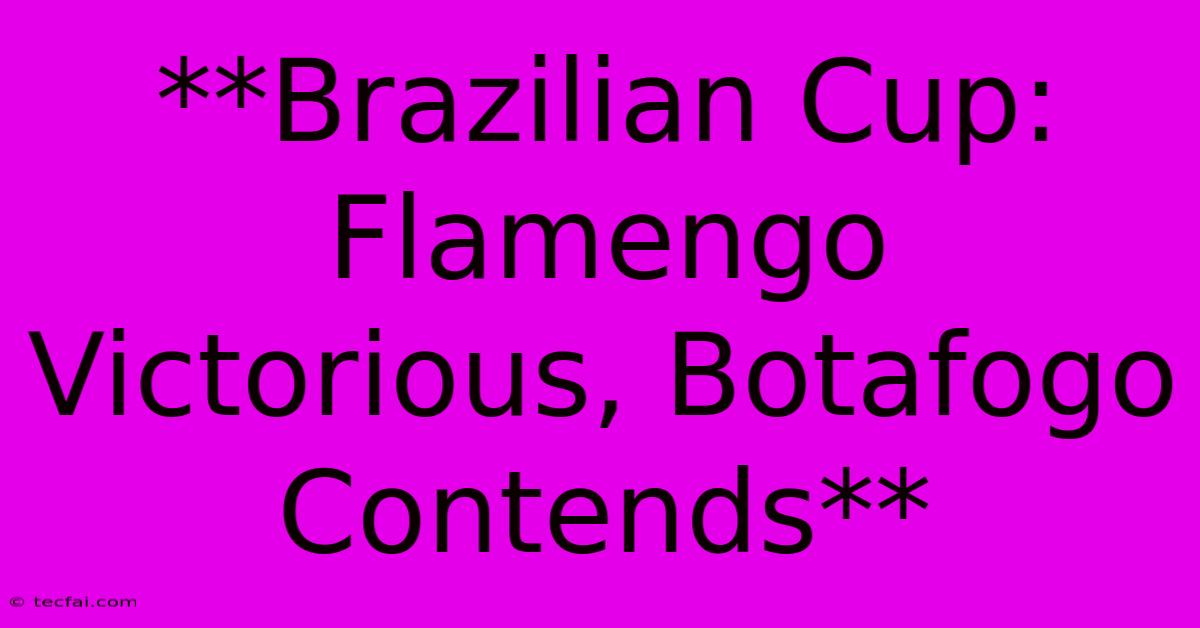 **Brazilian Cup: Flamengo Victorious, Botafogo Contends**