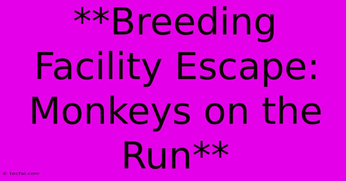 **Breeding Facility Escape: Monkeys On The Run**