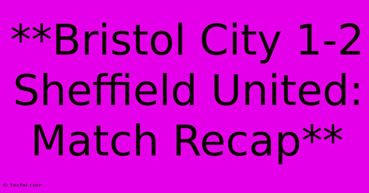 **Bristol City 1-2 Sheffield United: Match Recap** 