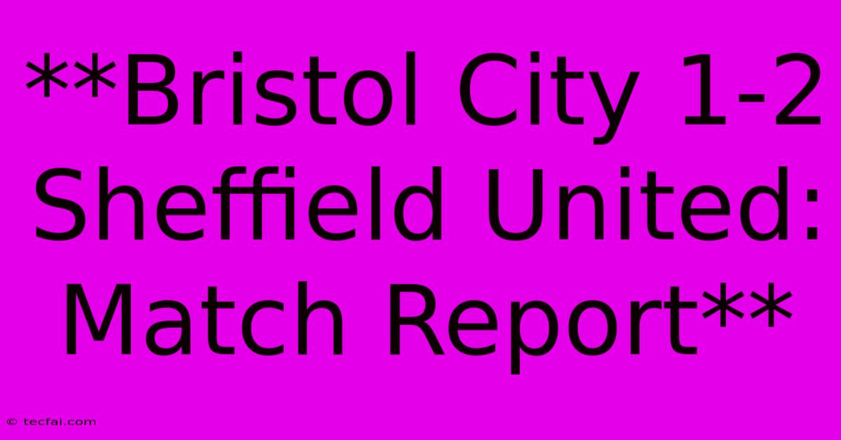 **Bristol City 1-2 Sheffield United: Match Report**