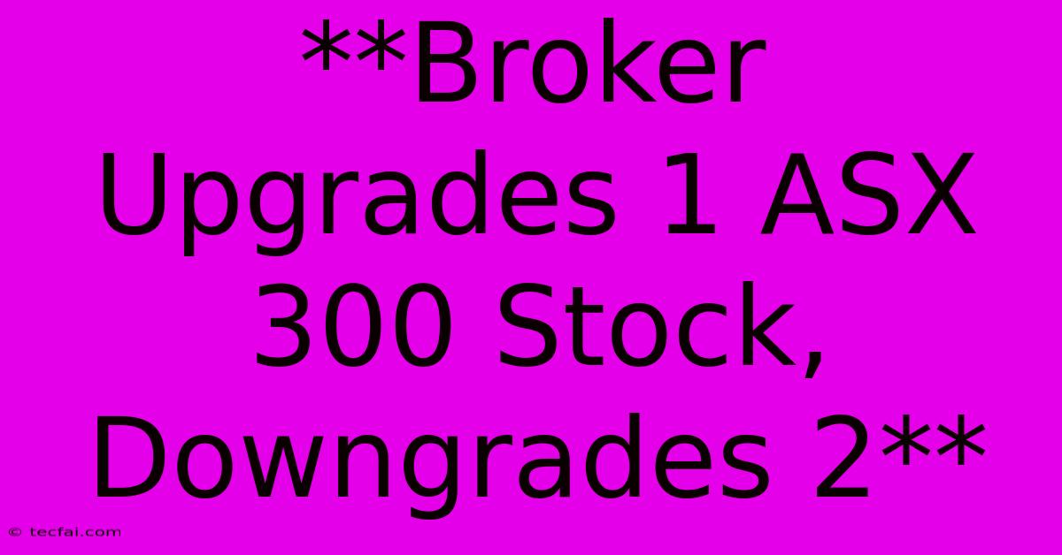 **Broker Upgrades 1 ASX 300 Stock, Downgrades 2**