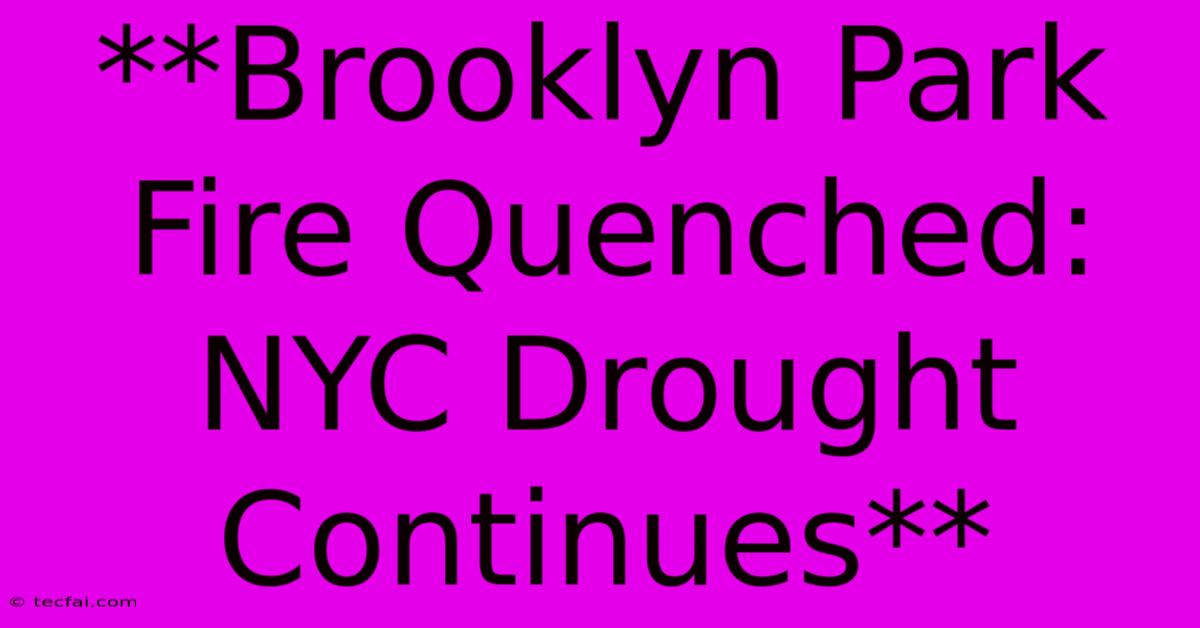 **Brooklyn Park Fire Quenched: NYC Drought Continues**