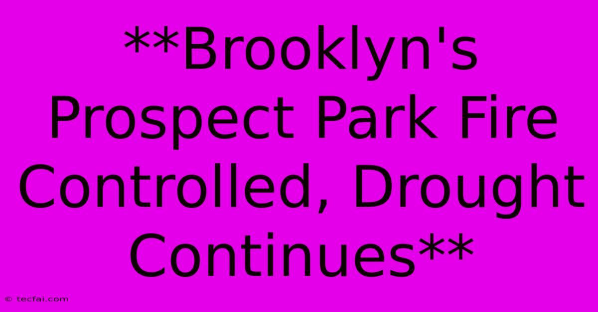 **Brooklyn's Prospect Park Fire Controlled, Drought Continues**